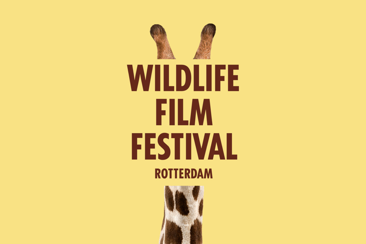 Wildlife Film Festival